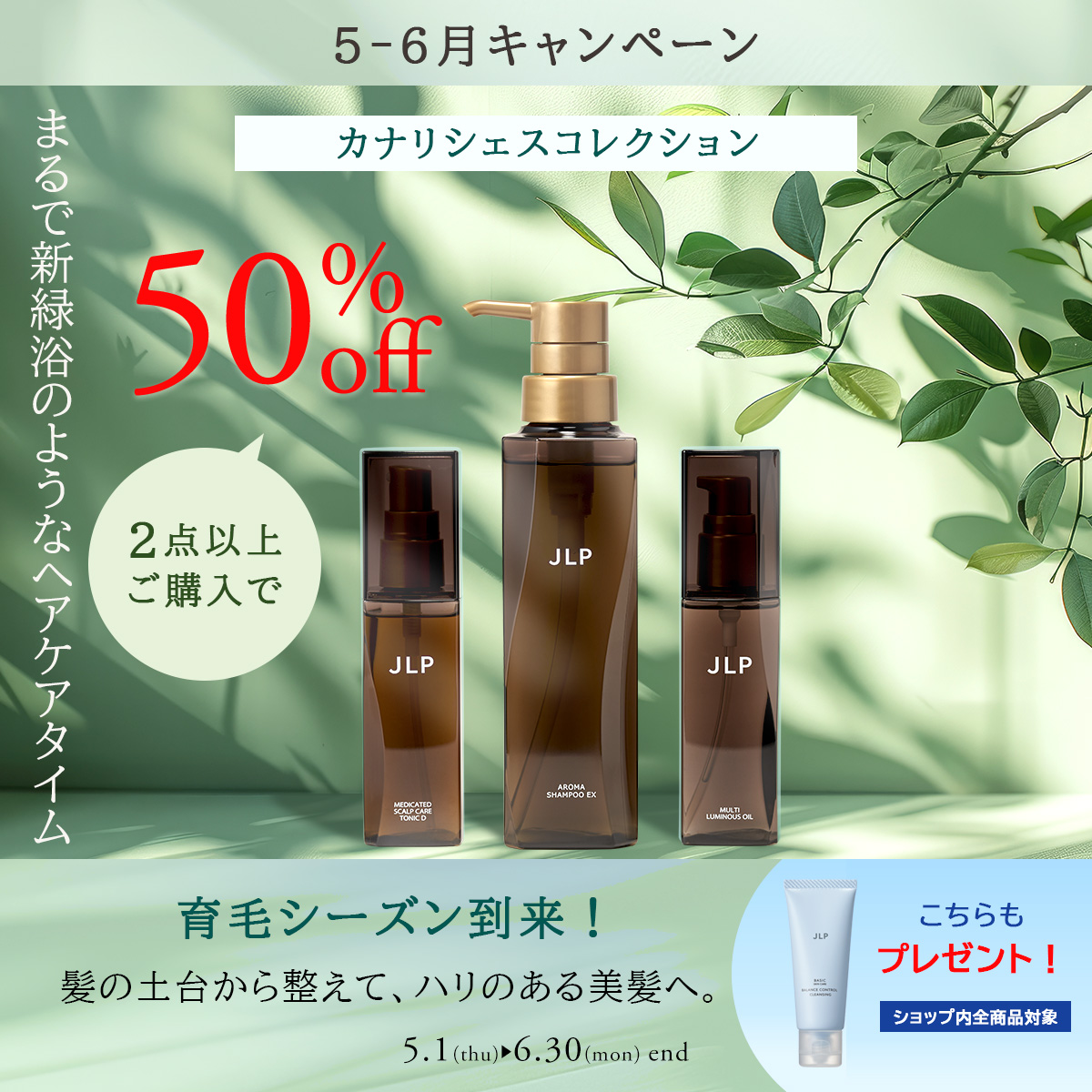 5月6月イベント