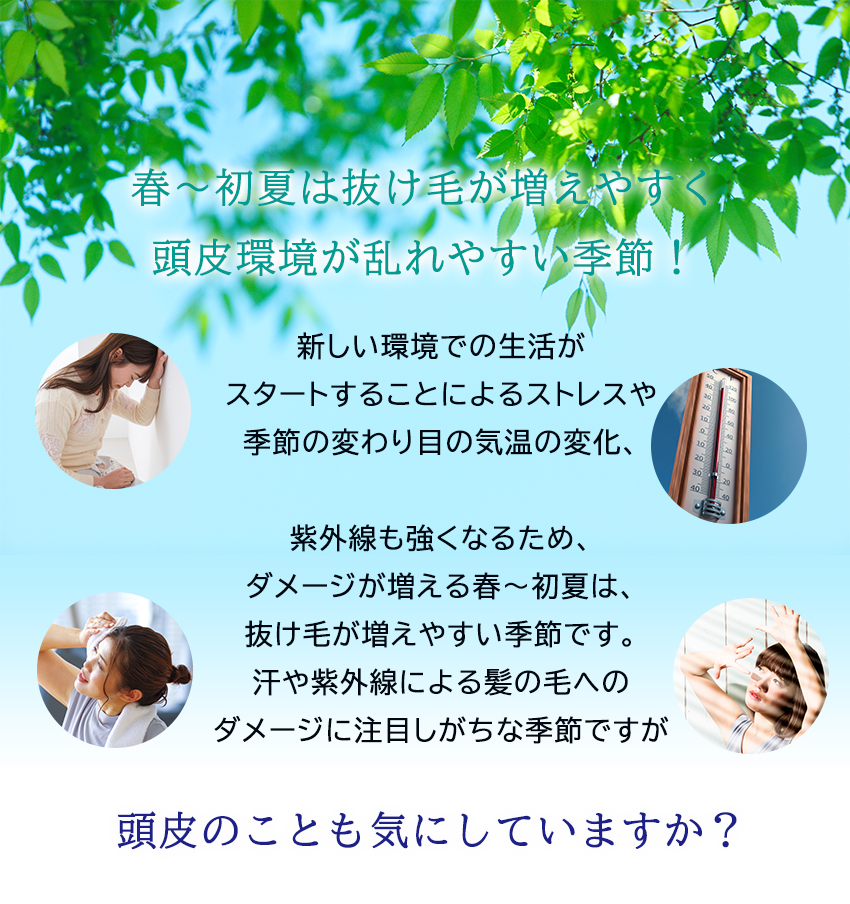PAシャンプーEX