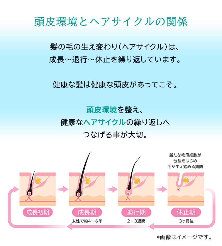 PAシャンプーEX