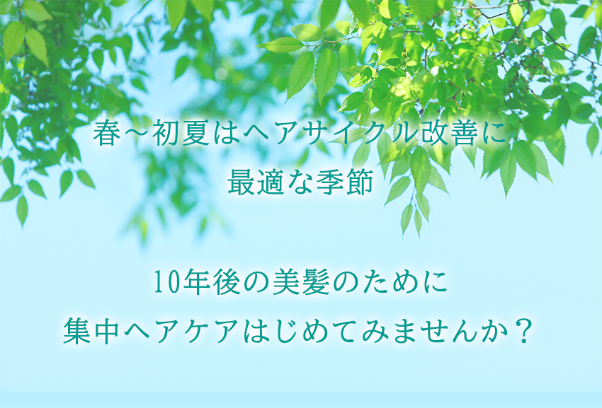 締め