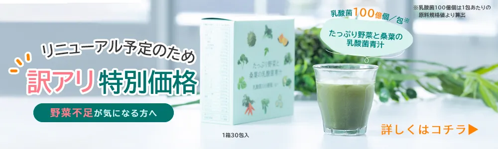 【訳アリ】たっぷり野菜と桑葉の乳酸菌青汁