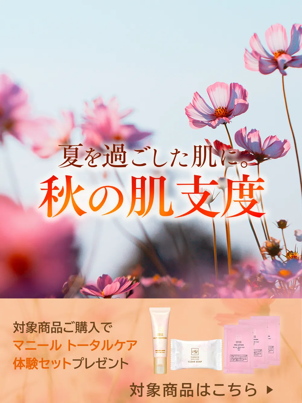 9月 秋の肌支度