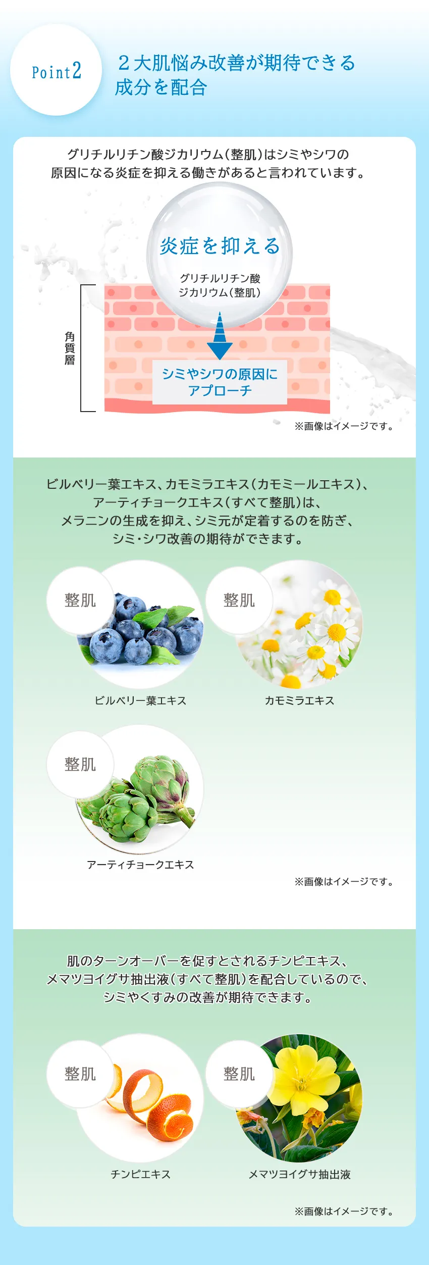 薬用リンクルホワイトセラム NAG-1 2大肌悩みが改善できる成分を配合