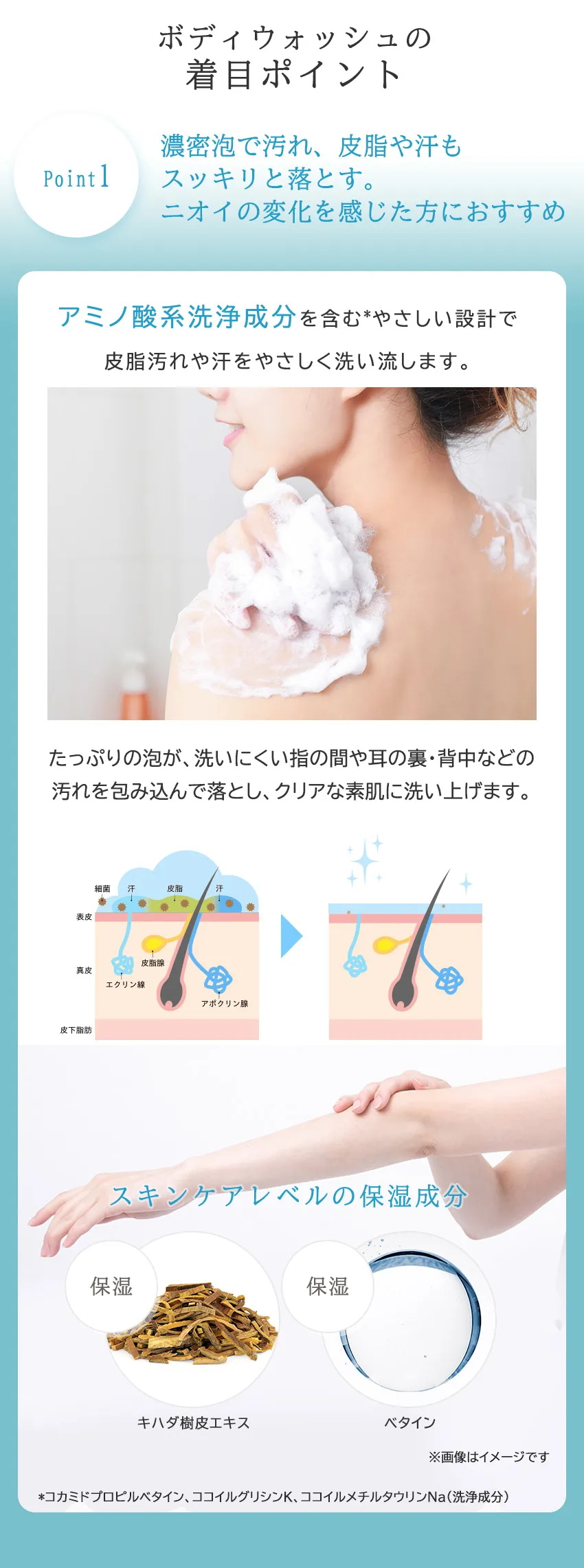 スアビスヴェールボディウォッシュ200mL Point1 アミノ酸系洗浄成分と保湿成分配合