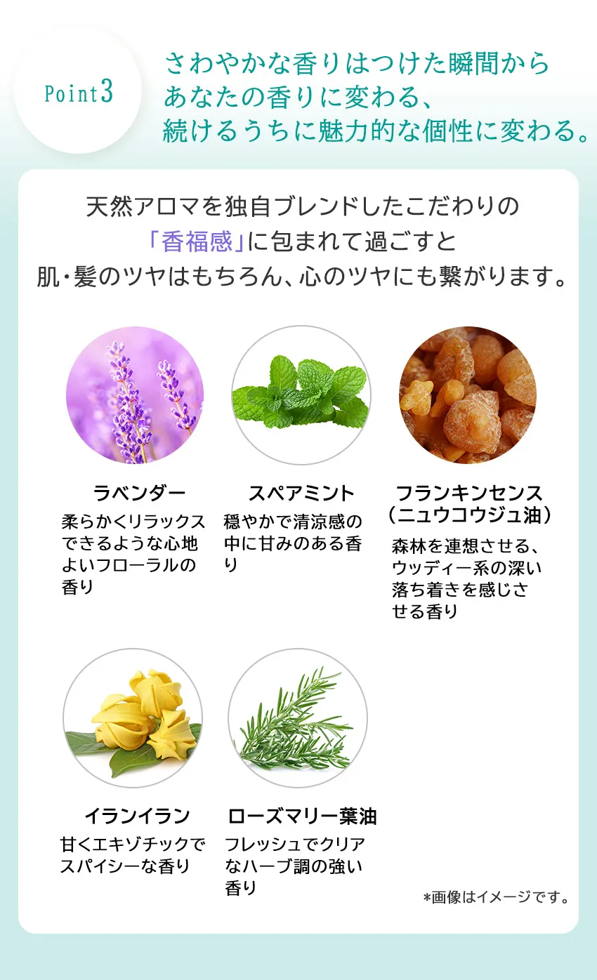 マルチルミナスオイル100mL追加情報