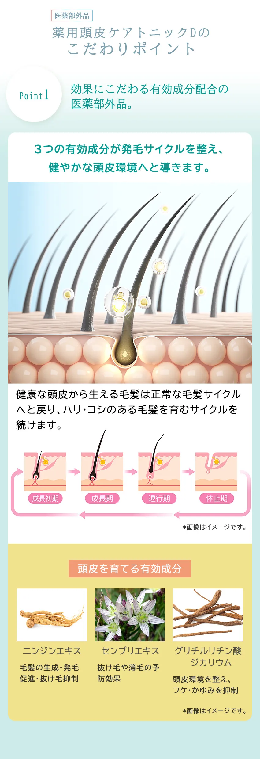 《リニューアル》薬用頭皮ケアトニックD 100mLこだわりポイント