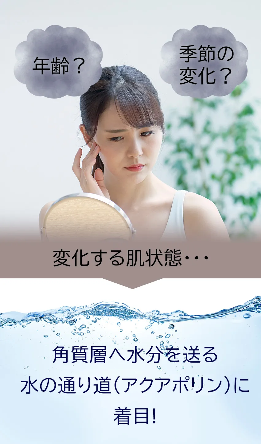 マニールプレローション120mL 肌悩み訴求アクアポリンに着目