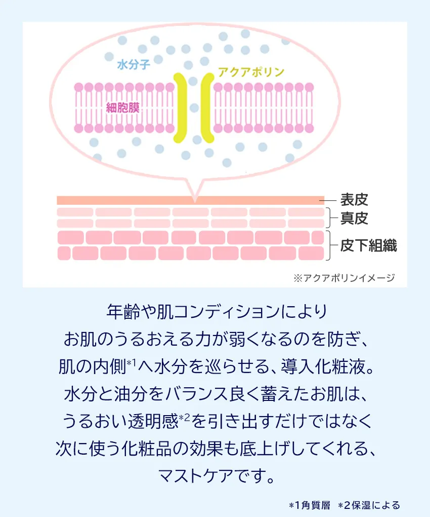 マニールプレローション120mL アクアポリン説明図導入化粧液の浸透メカニズム