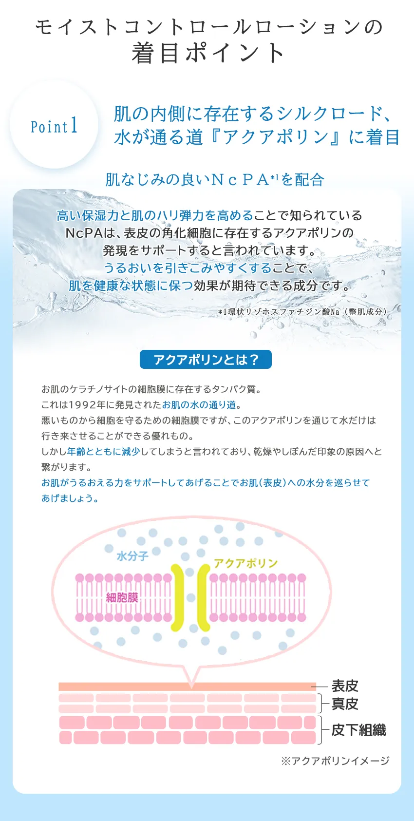 モイストコントロールローションこだわりポイント