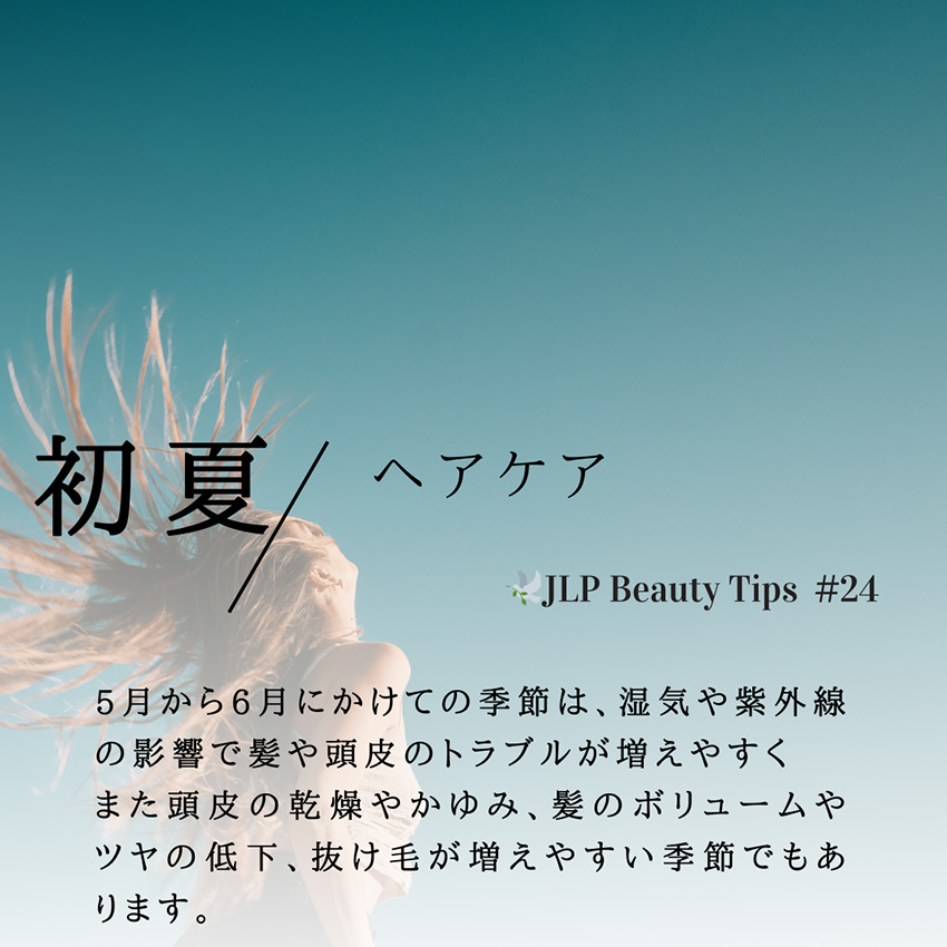 初夏/ヘアケア