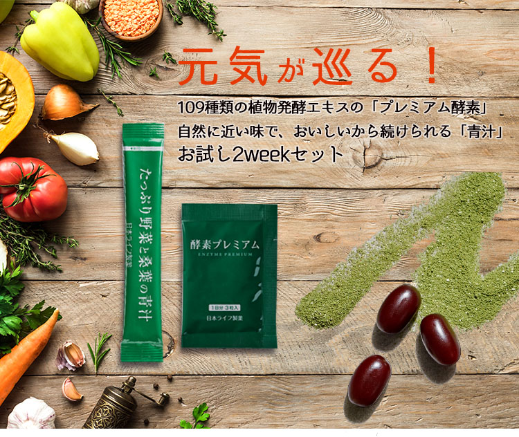 酵素109種の植物発酵エキス
