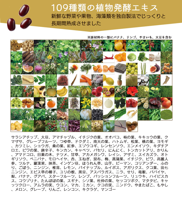 酵素109種の植物発酵エキス