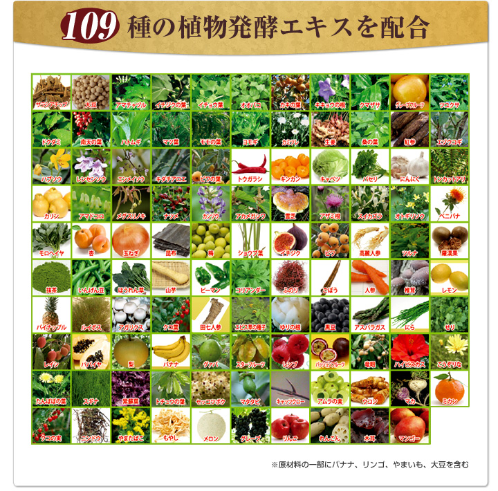 酵素109種の植物発酵エキス